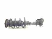 Stoßdämpfer Links Vorne 543029774R Renault Master III (MA/MB/MC/MD/MH/MF/MG/MH) Van 2.3 dCi 16V (M9T-B8)