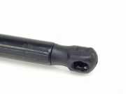Gasdruckfeder Set Vorne 4G8823359A Audi Q2 (GAB/GAG) SUV 1.4 TFSI 16V (CZEA(Euro 6))