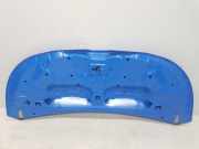 Motorhaube 651224338R Renault L1H1 29t Komfort