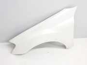 Kotflügel Links Vorne A1648810101 Mercedes-Benz ML II (164/4JG) SUV 3.0 ML-350 CDI V6 24V BlueEFFICIENCY (OM642.820) 2010