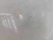 Ausgleichbehälter 1K0121407A Volkswagen Tiguan (5N1/2) SUV 2.0 TDI 16V Blue Motion (CFFD) 2013 CFFD