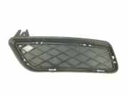 Grill Gitter Links 51117210469 BMW X3 (F25) SUV sDrive18d 16V (N47-D20C) 2012