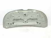 Motorhaube 651224338R Renault L1H1 29t Komfort