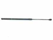Gasdruckfeder Set Vorne A2049800064 Mercedes-Benz C (W204) Limousine 2.2 C-220 CDI 16V (OM646.811) 2008