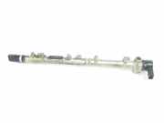 Einspritzdüsen Düsenstock A6680700095 Mercedes-Benz A (W168) Schrägheck 1.7 A-170 CDI 16V (OM668.940)