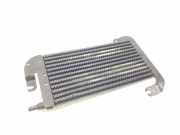 Heizwiderstand 95517539 Opel Vivaro Kombi Bus 1.6 CDTI Biturbo 125 (R9M-452(R9M-D4))
