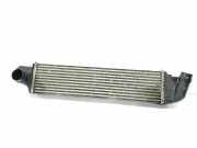 Ladeluftkühler 144962019R Renault Trafic (1FL/2FL/3FL/4FL) Van 1.6 dCi 90 (R9M-A402(Euro 5)) 2015