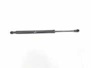 Gasdruckfedern Set Hinten 51247250308 BMW 3 serie (E90) Limousine 330Xi 24V (N52-B30A) 2005