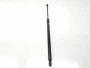 Gasdruckfedern Set Hinten J8A2406A10AD Land + Range Rover Range Rover Velar (LY) Gel?ndewagen 2.0 D240 AWD (204DTA) 2019