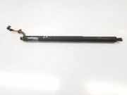 Gasdruckfedern Set Hinten 51247481807 BMW X1 (F48) SUV sDrive 16d 1.5 12V TwinPower (B37-C15A) 2019