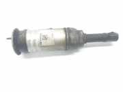 Stoßdämpfer Links Vorne J8A23C285AC Land + Range Rover LAND ROVER RANGE ROVER R-Dynamic HSE