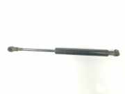 Gasdruckfeder Set Vorne 51238402551 BMW X5 (E53) SUV 3.0d 24V (M57N-D30(306D2)) 2004