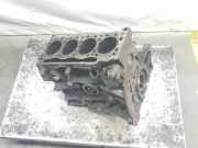 Motorblock 1010200QAN Nissan Primastar Van 1.9 dCi 80 (F9Q-762) 2004