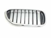Grill 51137390863 BMW 5 serie (G30) Limousine 520i 2.0 TwinPower Turbo 16V (B48-B20B) 2017