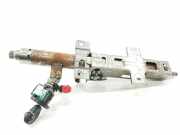 Lenksäule 488100012R Renault III FURGÓN L1H2 HKa 33t