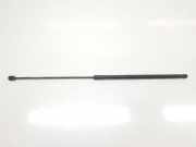 Gasdruckfeder Set Vorne 8T0823359 Audi A4 (B8) Limousine 2.0 TDI 16V (CJCB) 2011