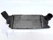 Ladeluftkühler 9645682880 Citroën C5 II Berline (RC) Schrägheck 2.0 HDiF 16V (DW10BTED4(RHR)) 2005