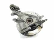 Achsschenkel Halter Rechts Hinten CPLA5A968AB Land + Range Rover Range Rover IV (LG) Geländewagen 4.4 SDV8 32V (448DT(DITC))
