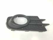 Grill Gitter Links 5N0853665E Volkswagen Tiguan (5N1/2) SUV 2.0 TDI 16V Blue Motion (CFFD) 2013 CFFD