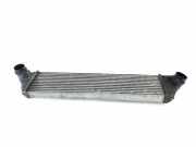 Ladeluftkühler 144960015R Renault Master III (MA/MB/MC/MD/MH/MF/MG/MH) Van 2.3 dCi 16V (M9T-B6)