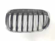 Grill 51137354823 BMW X1 (F48) SUV xDrive 18d 2.0 16V (B47-C20A) 2017