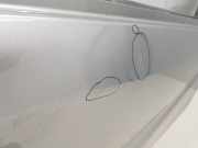 Tür Rechts Vorne 801005445R Renault L1H1 29t Komfort