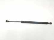 Gasdruckfedern Set Hinten 51247250308 BMW 3 serie (E90) Limousine 318d 16V (N47-D20A) 2007