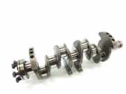 Kurbelwelle 8200156373 Dacia II Basis
