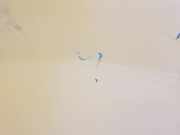 Kotflügel Links Vorne 7782524451 Renault Trafic New (FL) Van 2.0 dCi 16V 115 (M9R-786) 2009