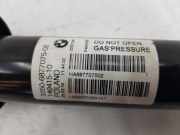 Stoßdämpfer Links Hinten 33506877075 BMW 1 serie (F40) Schrägheck 118i 1.5 TwinPower 12V (B38-A15F) 2019