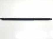 Gasdruckfedern Set Hinten A1569800764 Mercedes-Benz CLASE BM 156 200 CDI (156.908)