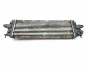Ladeluftkühler 8200411160 Renault II FURGÓN L1H1 290t Caja cerrada corto 2006