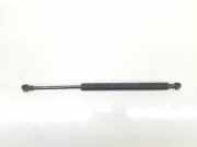 Gasdruckfedern Set Hinten 51248254281 BMW 3 serie (E46/4) Limousine 320d 16_V (M47N(204D4)) 2004