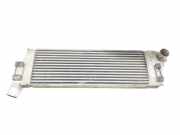 Ladeluftk?hler 8200700172 Renault Sc?nic II (JM) Gro?raumlimousine 1.5 dCi 105 (K9K-732) 2008