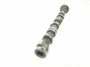 Nockenwelle 03L109021E Audi A3 Sportback (8PA) Schrägheck 5-drs 1.6 TDI 16V (CAYC) 2011