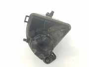 Ausgleichbehälter 17137601948 BMW 7 serie (F01/02/03/04) Limousine 750i,Li xDrive V8 32V (N63-B44A) 2011
