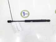 Gasdruckfeder Vorne 7115008102 SsangYong Rexton W SUV 2.0 e-200 Xdi 16V 4WD (D20DTR(Euro 5)) 2013