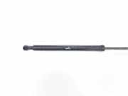 Gasdruckfedern Set Hinten 51247250308 BMW 3 serie (E90) Limousine 330Xi 24V (N52-B30A) 2005