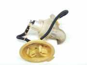 Kraftstoffpumpe 7217065 BMW 5 serie Touring (F11) Kombi 530d xDrive 24V Blue Performance (N57-D30A)