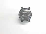 Nebelscheinwerfer Rechts 2N1115201AB Ford Focus 3 Schrägheck 1.0 Ti-VCT EcoBoost 12V 125 (M1DA(Euro 5))