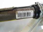 Vorhang Airbag Links VOOR 8200071324 Renault Sc?nic I (JA) -> 1999, Zie MEGANE Gro?raumlimousine 1.9 dCi RX4 (F9Q-740) 2002