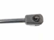 Gasdruckfeder Hinten 51247250308 BMW 3 serie (E90) Limousine 325d 24V (M57N2-D30(306D3)) 2006