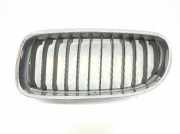 Grill Gitter Links 51137201967 BMW 3 serie Touring (E91) Kombi 320d 16V (N47-D20C) 2009