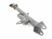 Stoßdämpfer Links Hinten A1643202031 Mercedes-Benz ML II (164/4JG) SUV 3.0 ML-280 CDI V6 24V (OM642.940)