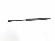 Gasdruckfeder Set Vorne 654700423R Renault Talisman Estate (RFDK) Kombi 1.6 dCi 130 (R9M-409(R9M-E4)) 2017