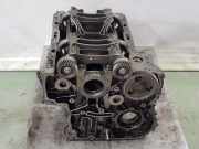 Motorblock BLOQUE651921 Mercedes-Benz C Estate (S205) Kombi C-220 CDI BlueTEC, C-220 d 2.2 16V (OM651.921(Euro 6))