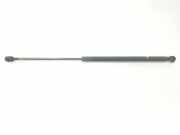 Gasdruckfedern Set Hinten 1683725 Ford Focus C-Max Großraumlimousine 1.6 TDCi 16V (G8DA) 2005