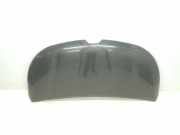 Motorhaube 651224338R Renault L1H1 29t Komfort