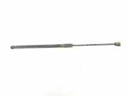 Gasdruckfeder Hinten 51247127875 BMW 3 serie Touring (E91) Kombi 318d 16V (N47-D20A) 2008