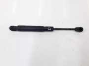 Gasdruckfeder Vorne 51237207188 BMW 5 serie (F10) Limousine 530d 24V (N57-D30A) 2010